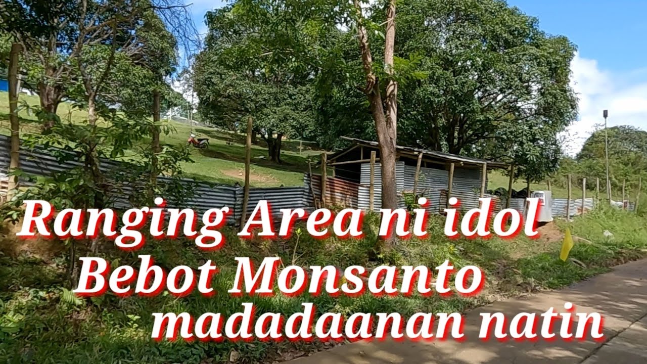 EP317 Day 2 Part 1: Ang Daan papunta sa ating farm/Bebot Monsanto GF madadaanan