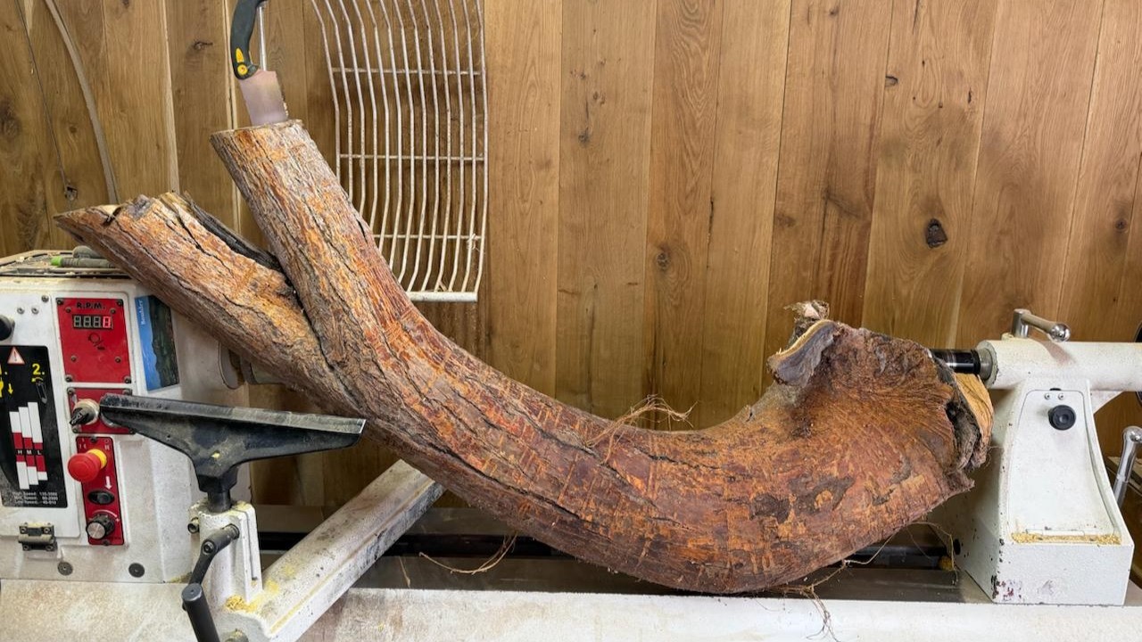 Is It Possible to Work With Lateral Roots? | Woodturning