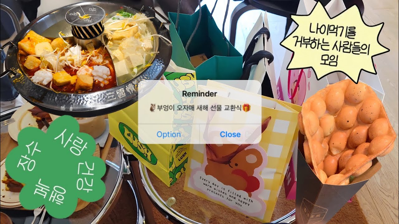 [VLOG] | 🦉부엉이 오자매 새해 선물 교환식🎁 | 260104