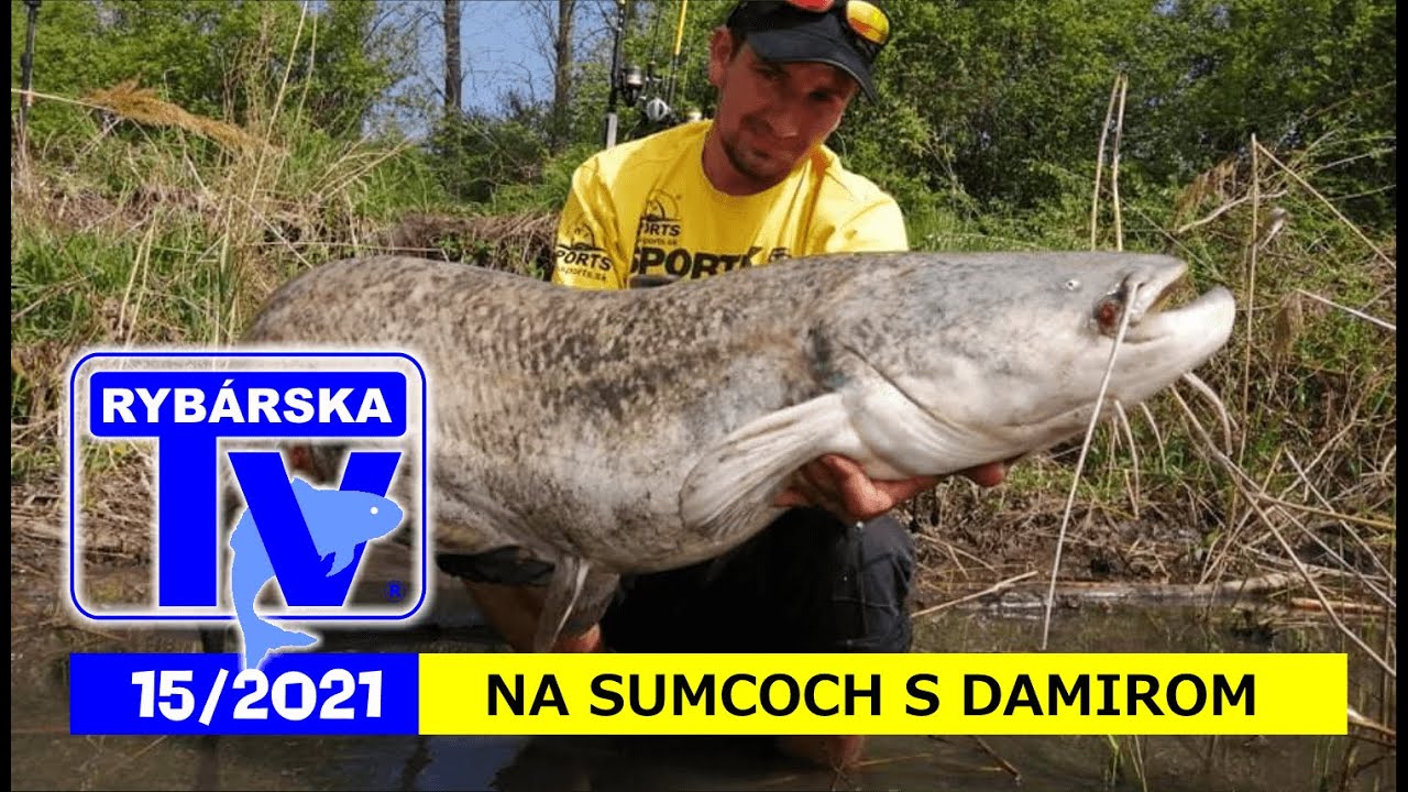 RTV 15/2021 : LOV SUMCA S DAMIROM A PETROM