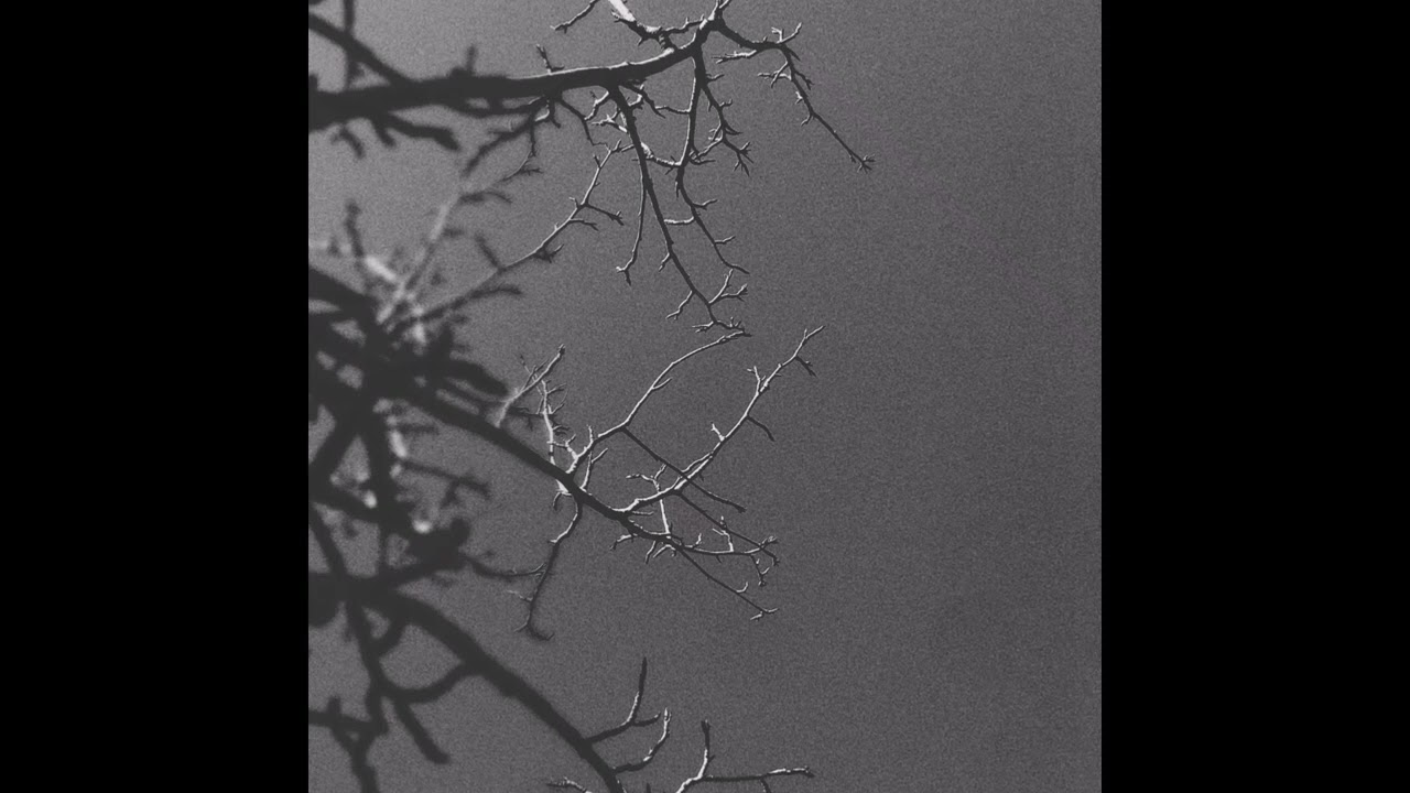 Seed.