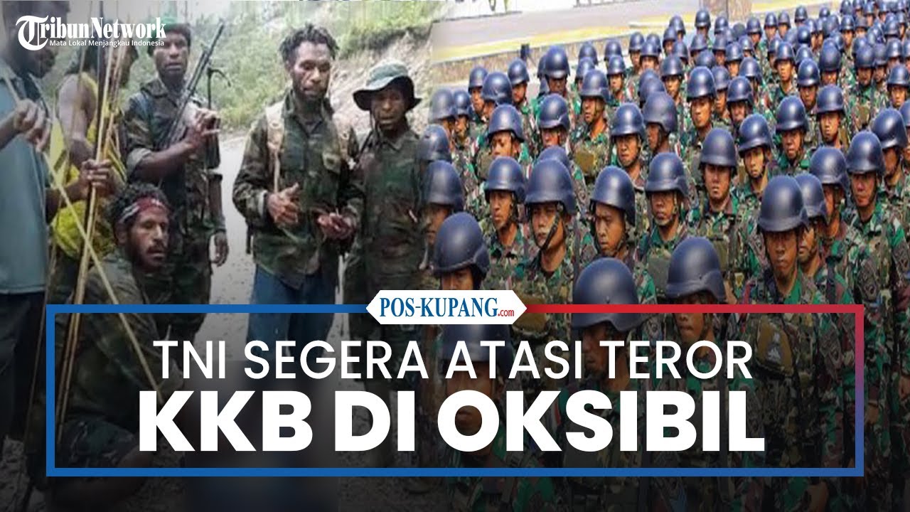 Pasukan Kodam XVII Cenderawasih Segera Dikerahkan Atasi Teror KKB di Oksibil Papua Pegunungan