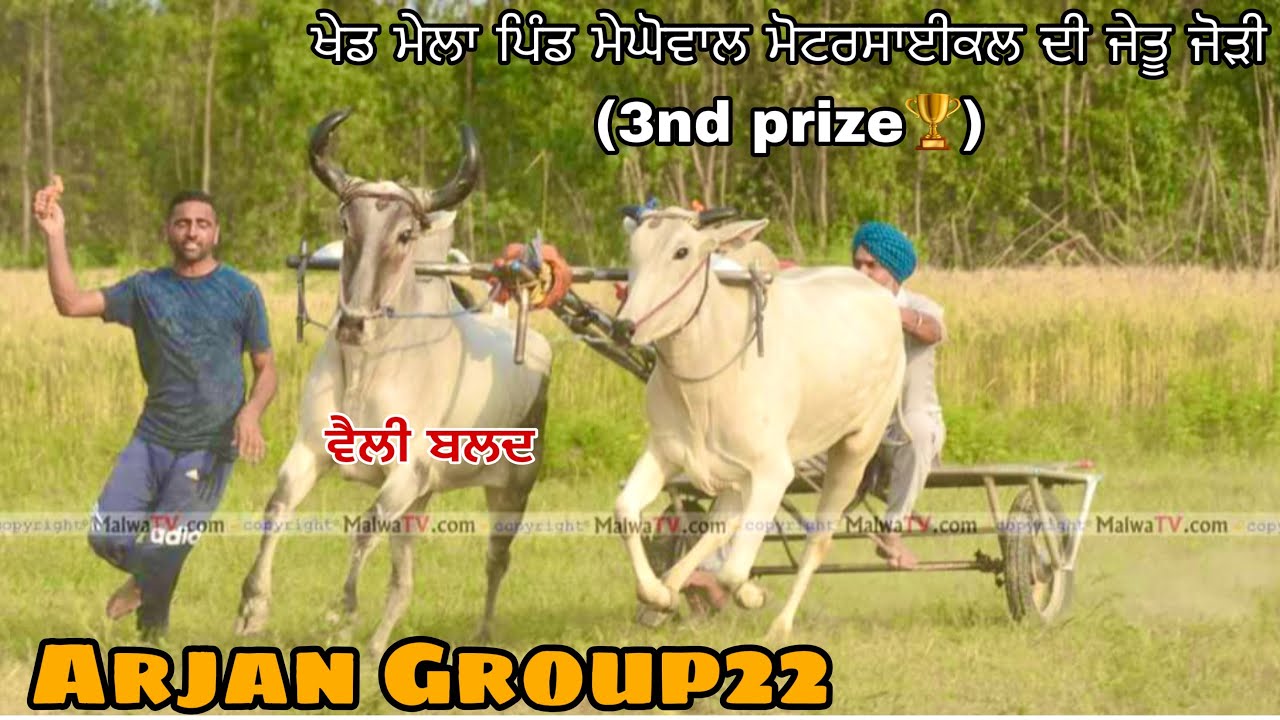 Ox Race competition • Pind Meghowal Doaba (08/04/2018)  • 3nd prize🥈🏍• #oxraces #arjangroup22