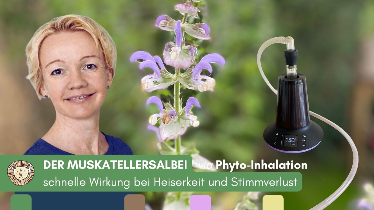 Der Muskatellersalbei - Schnelle Wirkung bei Heiserkeit und Stimmverlust