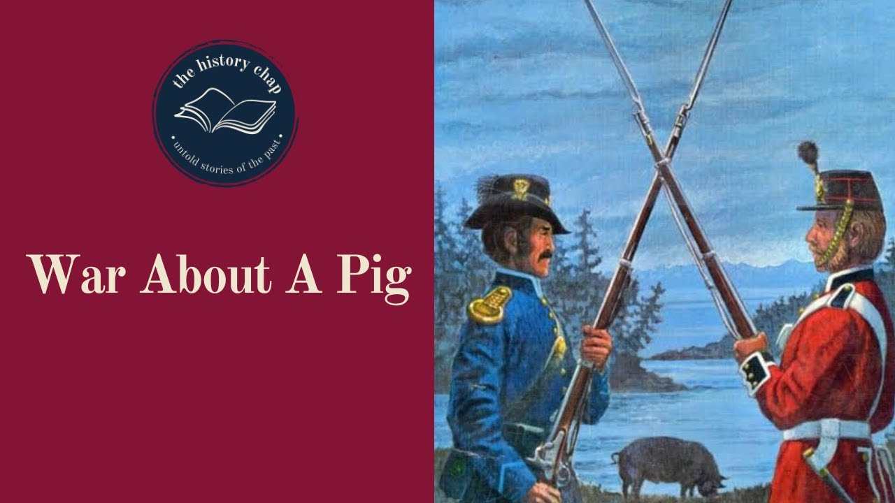 The Bizarre Nearly War Over A Dead Pig