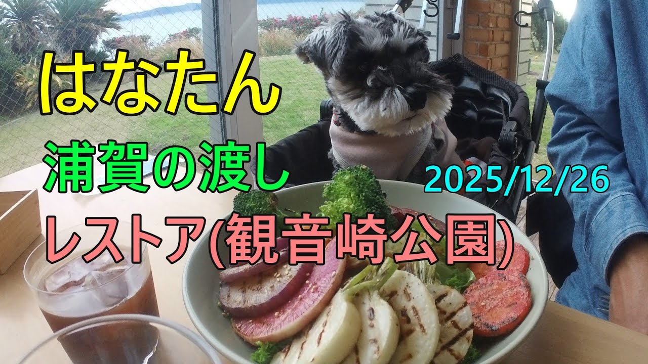 浦賀の渡しと、観音崎公園レストア(ワンちゃん店内OK)