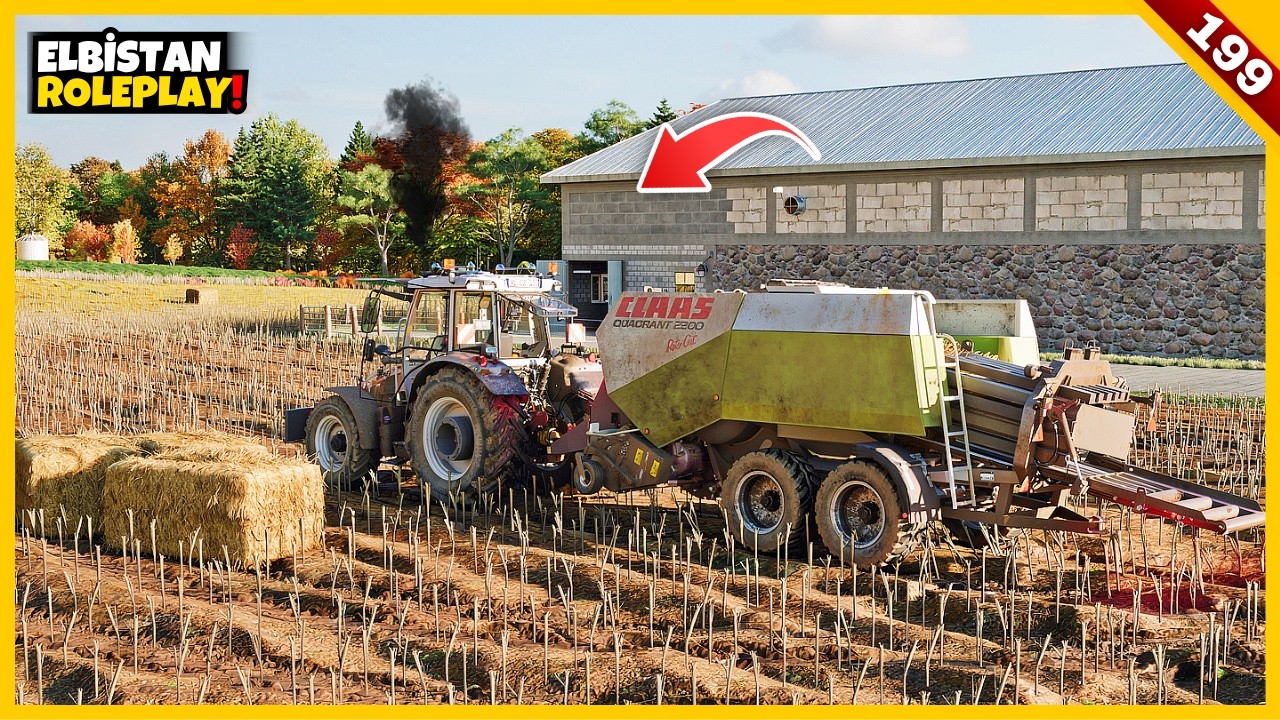 Massey Ferguson 5S ile Son g&uuml;nler Belki de Tarla!da Son işler | FS25 S7 B199