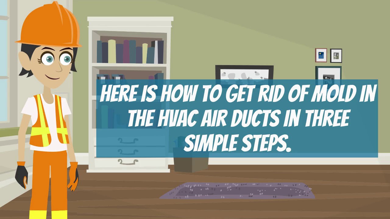 Removing Mold From Your HVAC Unit | Video Tip | Air Duct Cleaning Fremont