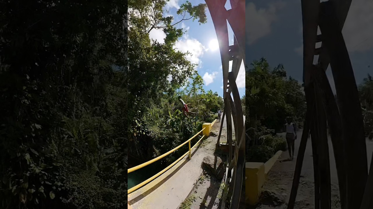 Diving from off the bridge 🇯🇲 #diving #jamaica
