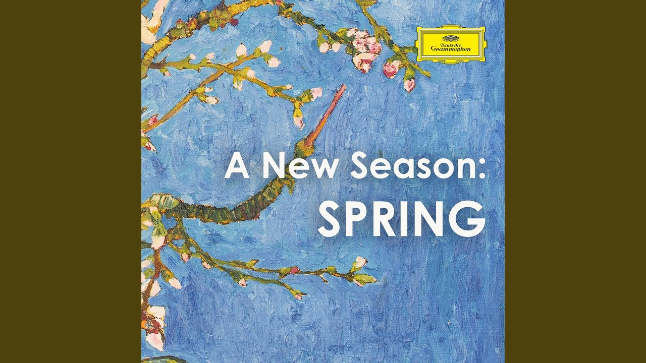 Mozart: Divertimento for Strings in D Major, K. 136: I. Allegro