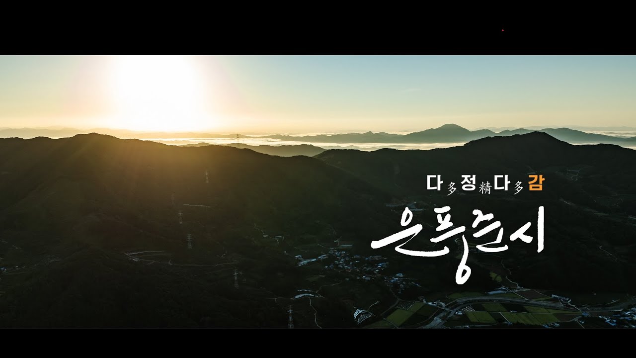 2025년 예천박물관 특별기획전 '다多정精다多감 은풍준시'