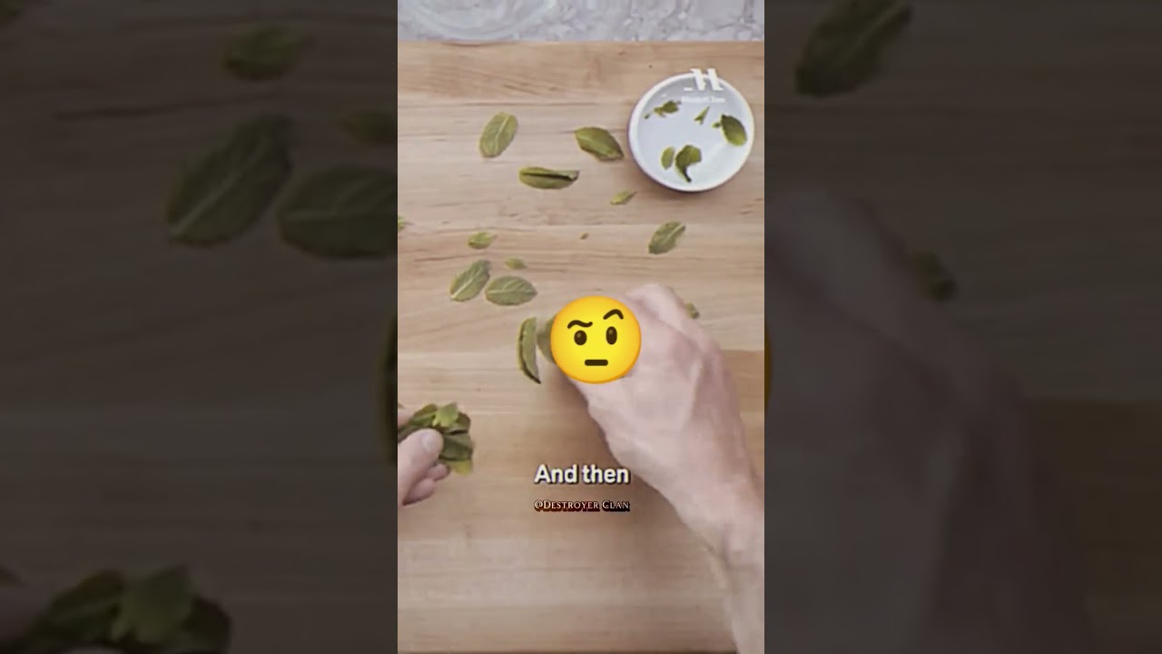 Snoop Doggs Rolling Mint Technique 🤨 By Gordon Ramsey #gordonramsay #snoopdogg #hiphop #rap #legend