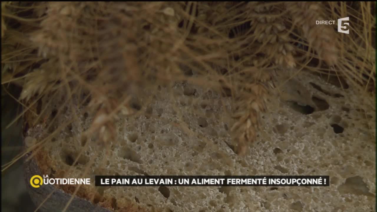Le pain au levain : un aliment fermenté insoupçonné !