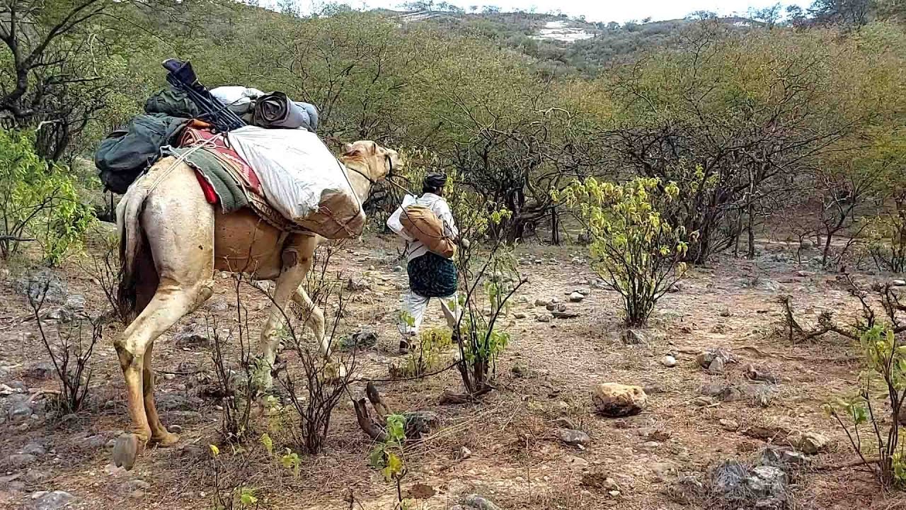 فريق سواعد الخير