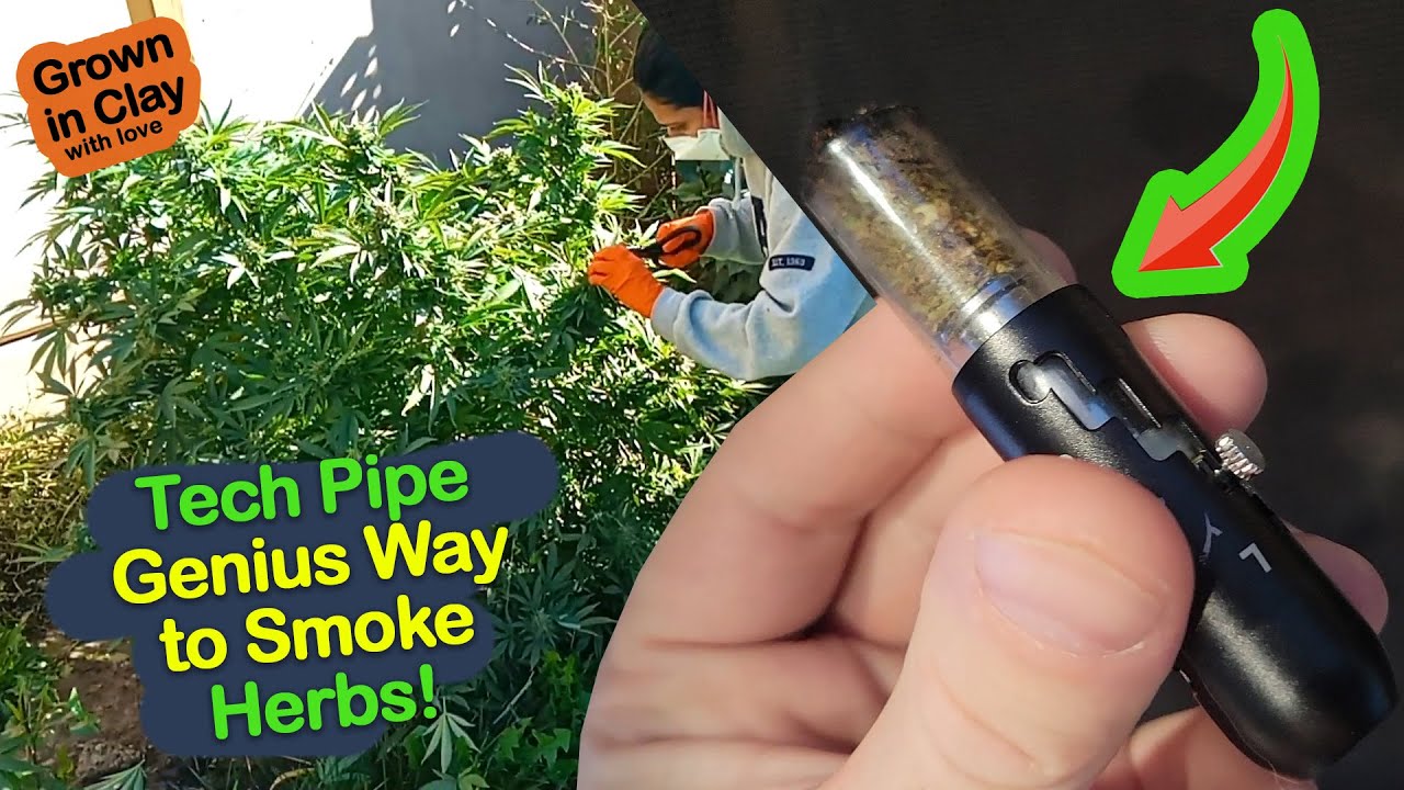 ** LYZZO Glass Pipe ** Genius Way to Smoke Herbs & Refreshments in a Glass Blunt