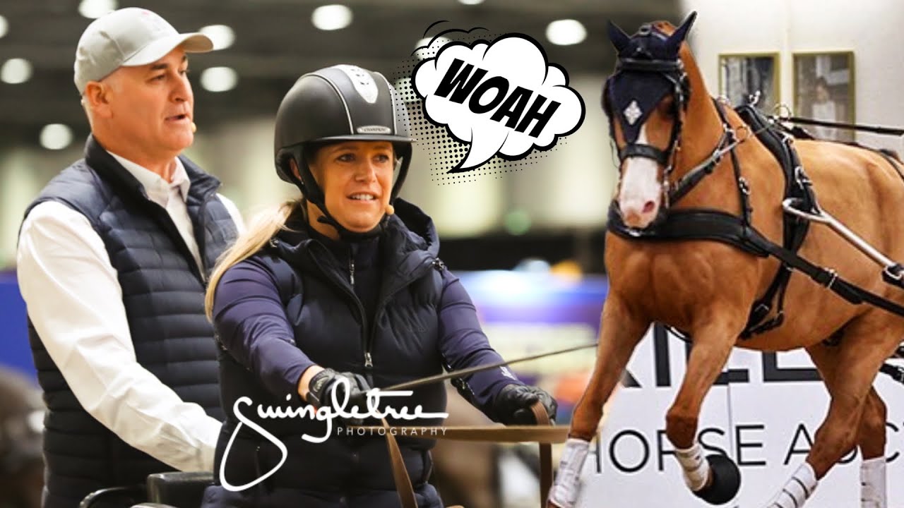 LEARNING TO DRIVE HORSES at LONDON HORSE SHOW
