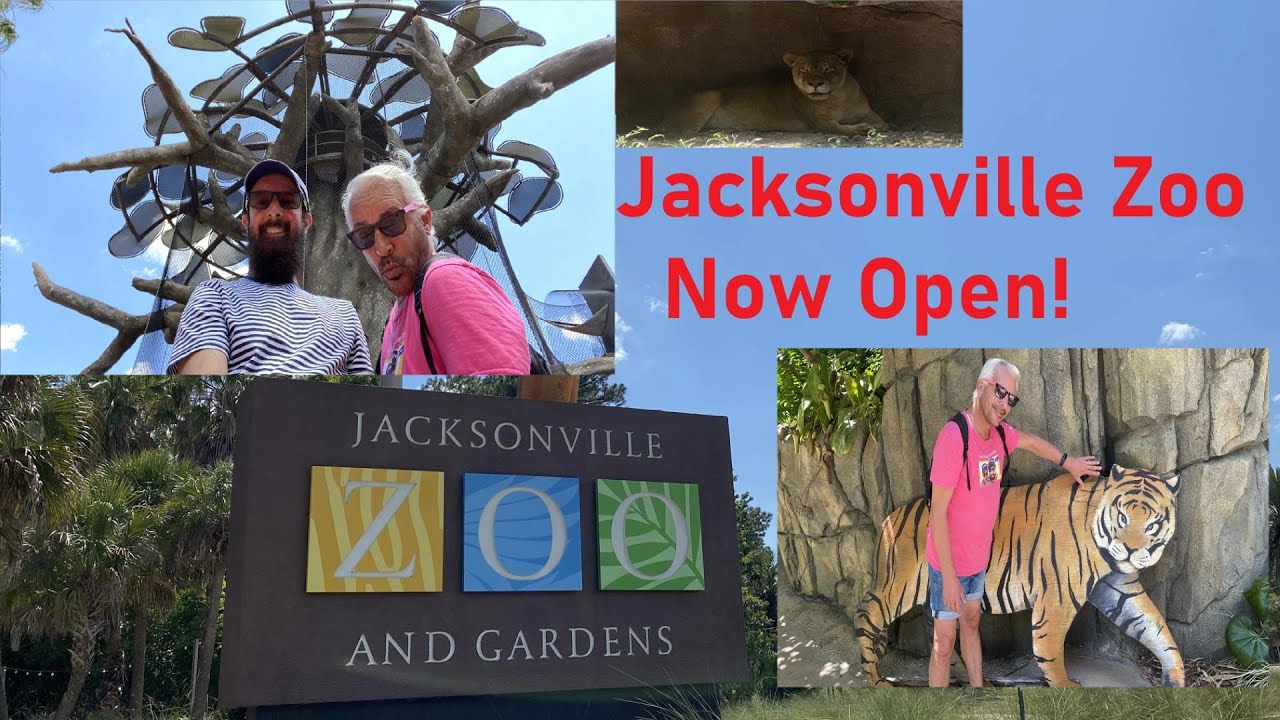 Jacksonville Zoo Now Open!