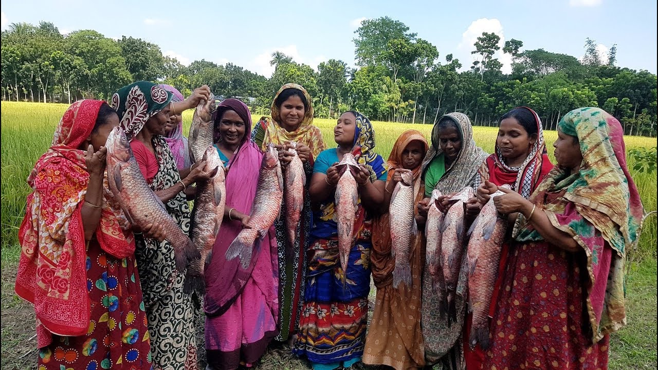 50 KG 10 Golden Mahseer Fish Cutting & Curry Cooking By 15 Pride Women For Whole Village People