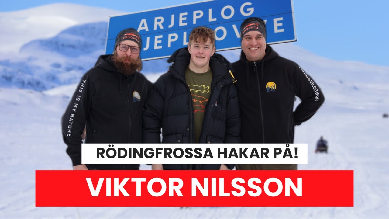 RÖDINGFROSSA HAKAR PÅ - Viktor Nilsson
