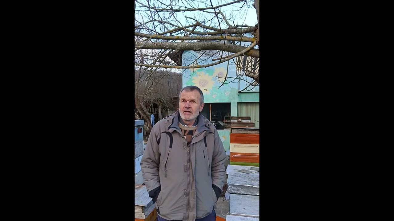 12.02.2026г. Сегодня на пасеке Подгорное. Морозы закончились...