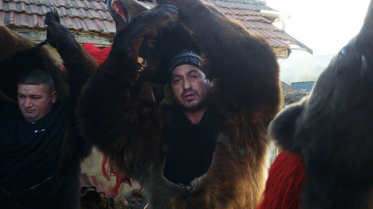 ☆Ursul din Văsieşti 2018☆