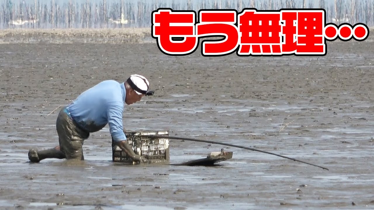 有明海の「ムツカケ」に昔ベテランの親父がチャレンジした結果…
