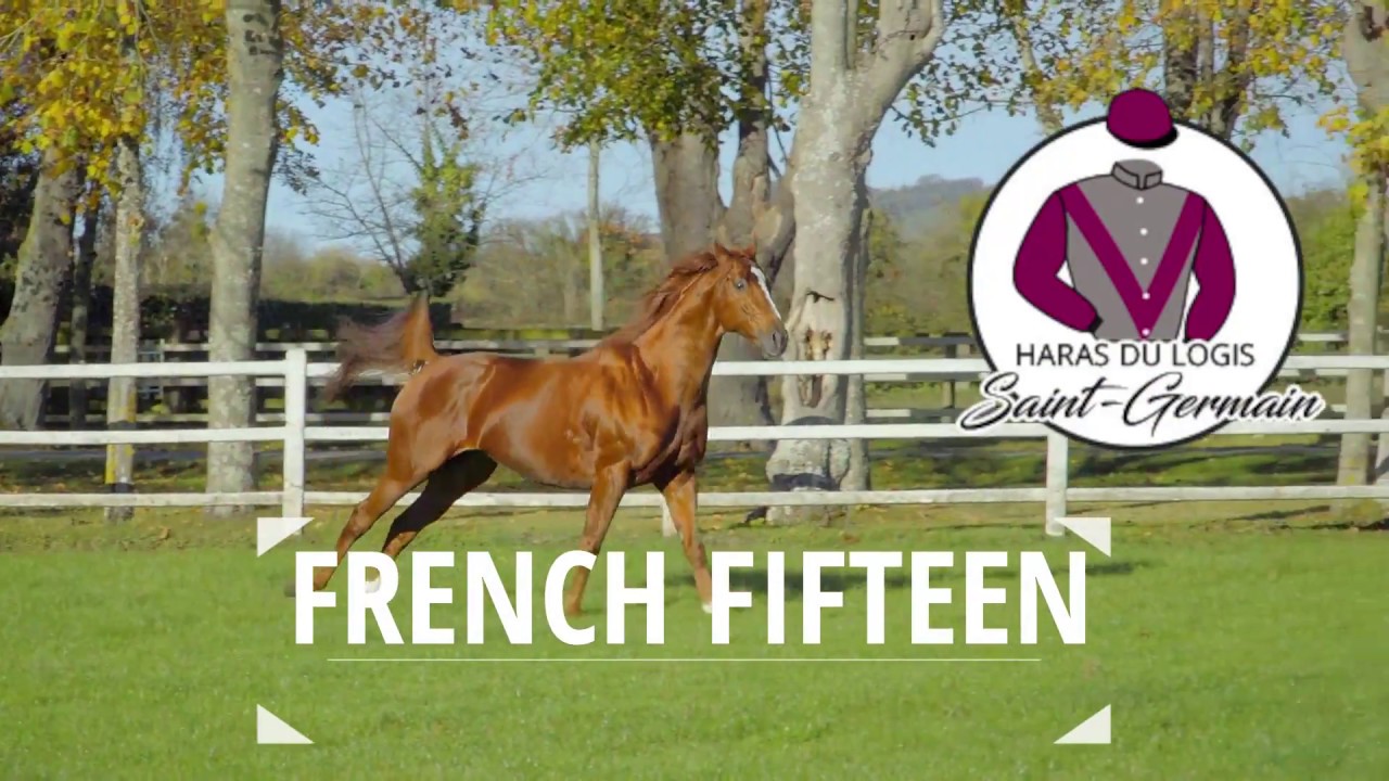 French fifteen - Haras du Logis Saint Germain
