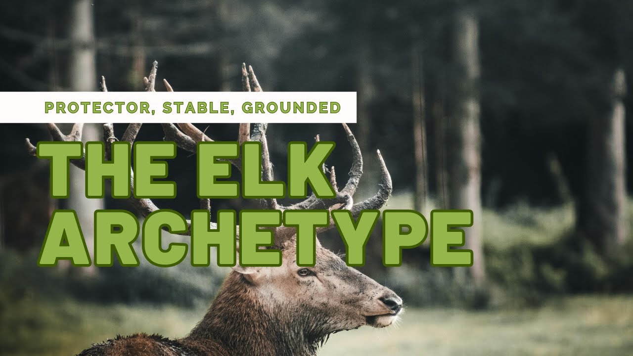 The Elk: Spirit Animal