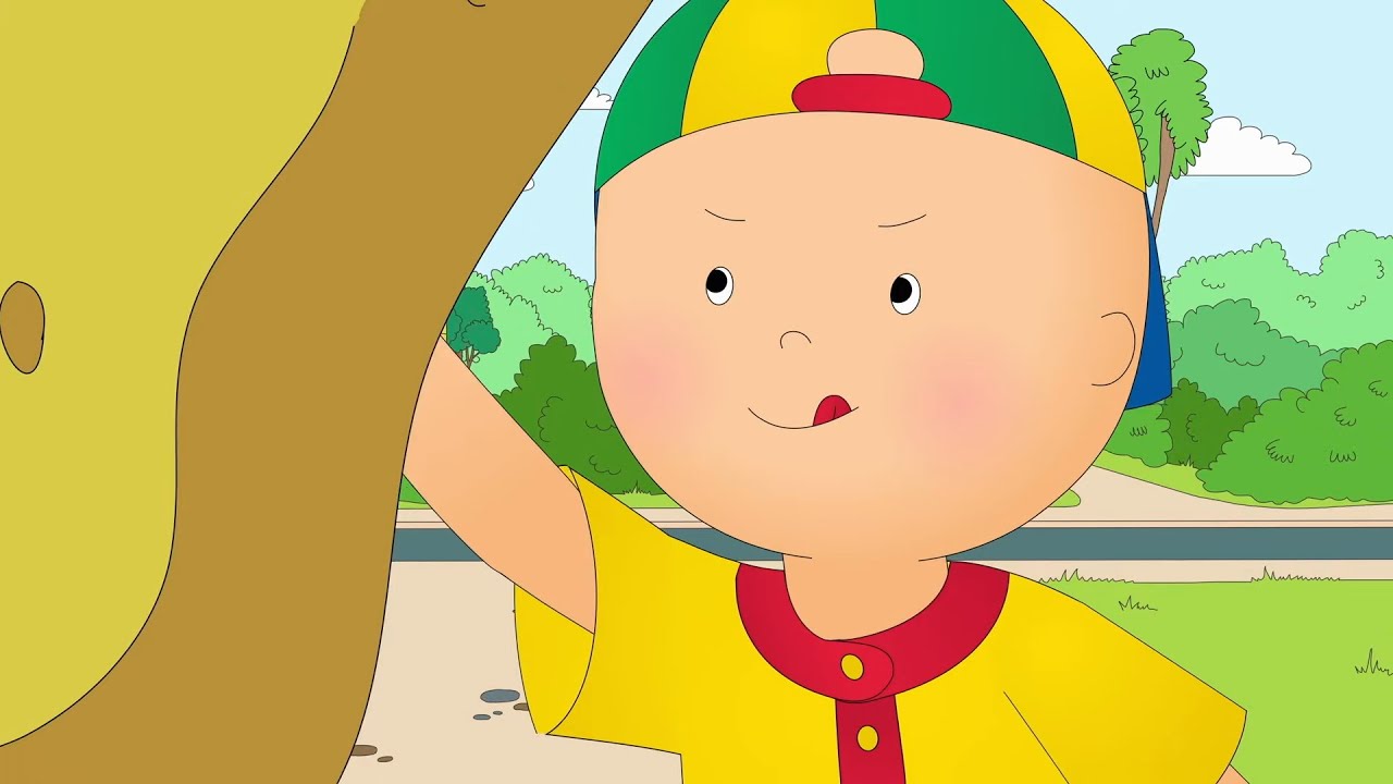 Kajtuś pomaga w domu | Bajki dla dzieci | Kajtuś po Polsku [Caillou]