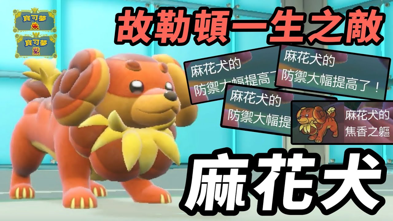 【寶可夢朱紫】路邊寶可夢卻能完美剋製版本封面神獸 故勒頓一生之敵 麻花犬  #藍之圓盤 #寶可夢對戰系列 #240