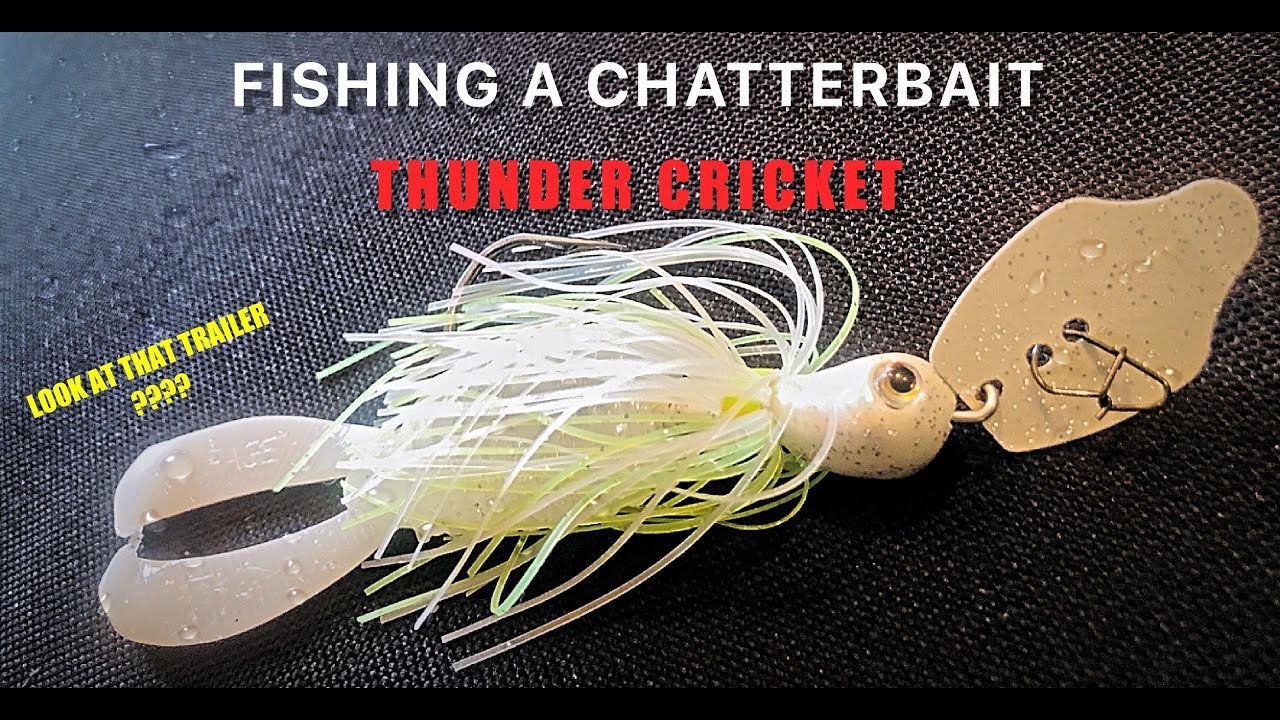 FISHING A CHATTERBAIT (THUNDER CRICKET) in COLD MUDDY WATER!!