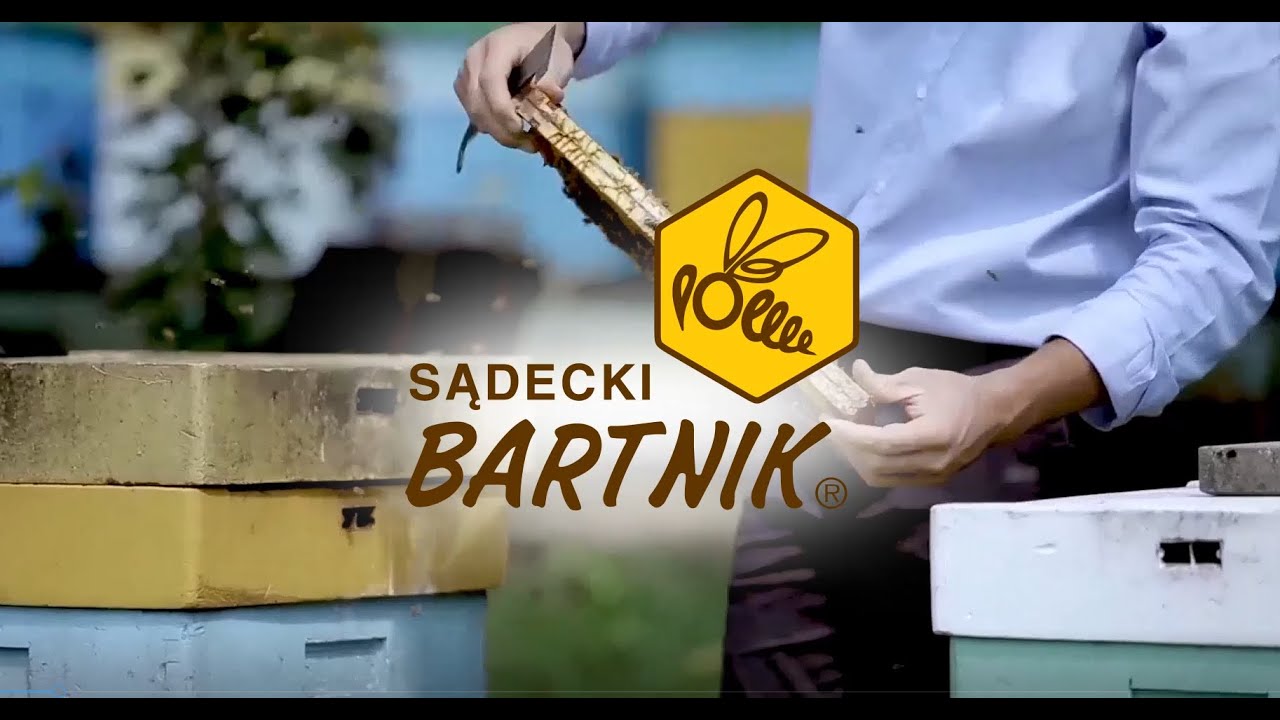 Sądecki Bartnik - PL