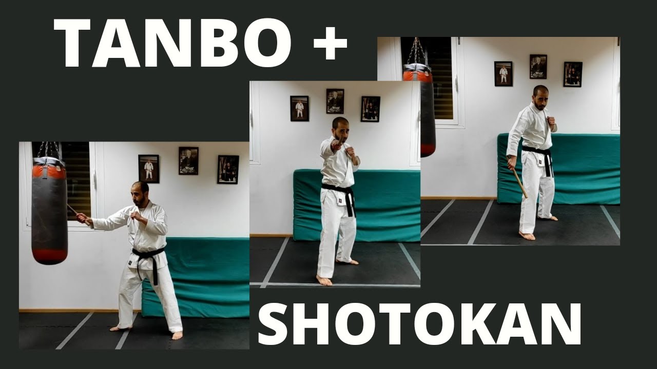 MANEJO DE ARMAS ( PARA #DEFENSA) TENIENDO CONOCIMIENTOS DE #KARATE #TANBO (palo corto) Y SHOTOKAN🥋