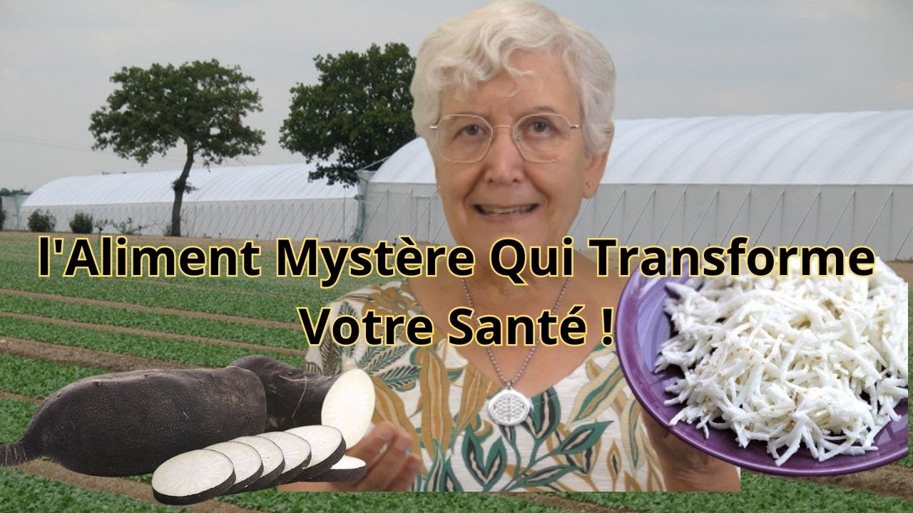 La Salade Secrète : L'Incroyable Pouvoir du Radis Noir en Une Bouchée !
