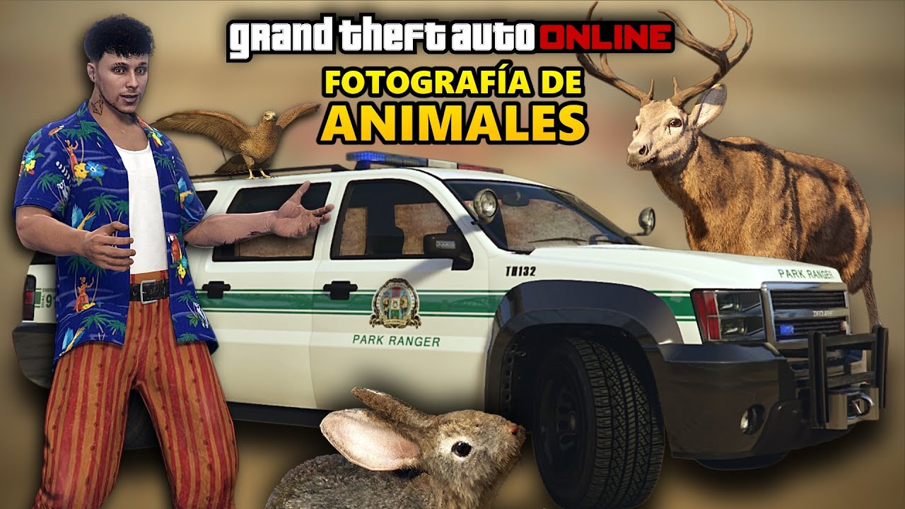 GTA Online: Fotografía de animales (Todas las ubicaciones) | Guía completa y recompensas