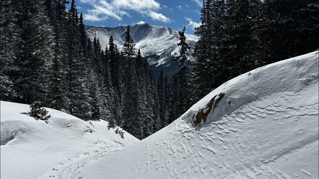 2026 Colorado Backcountry Skiing: Surprise Snow