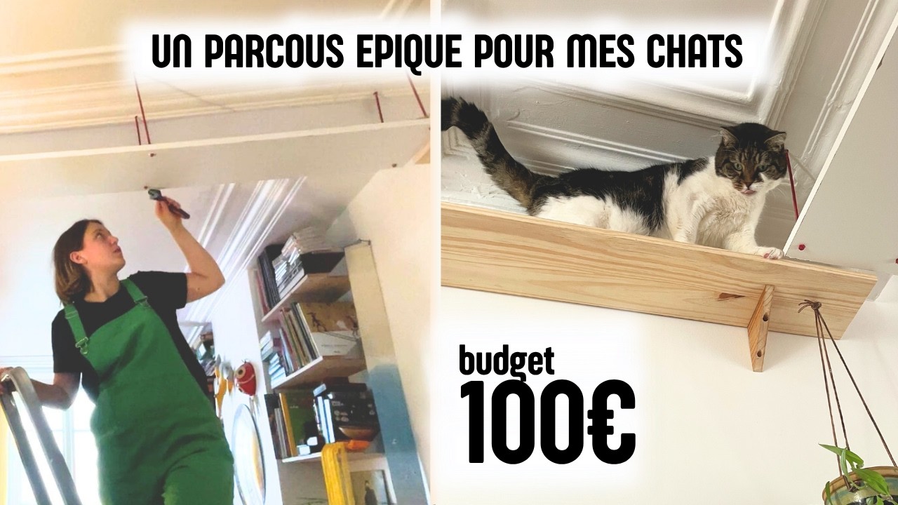 Je fabrique un parcours aérien pour chat avec 100€