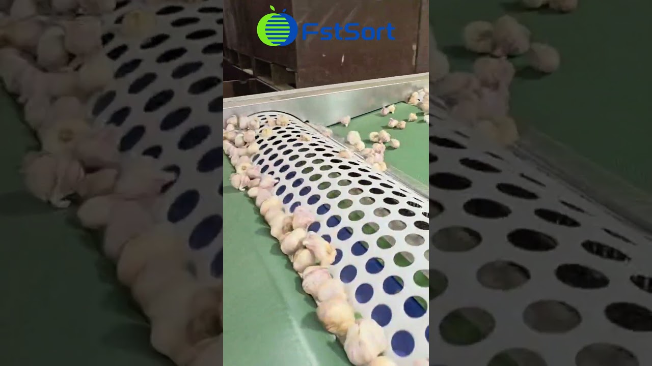 See our Garlic Dry Washing and Grading Machine in action!  🧄
