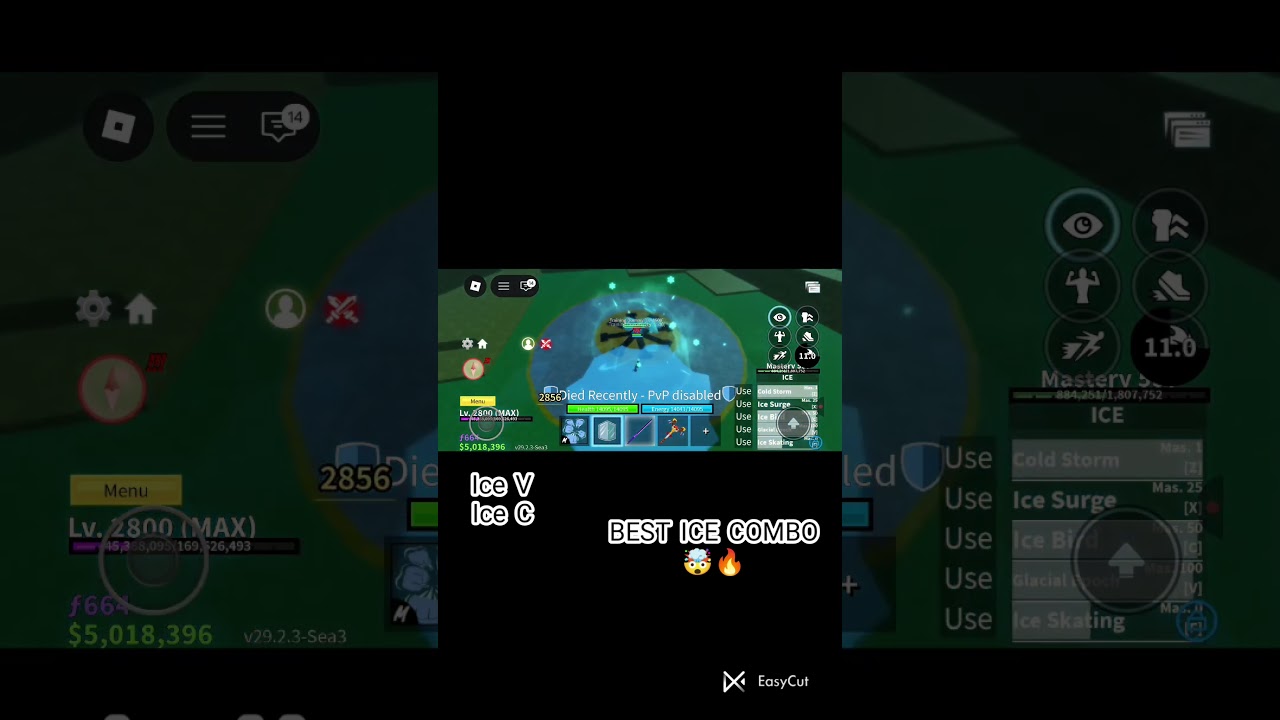 BEST ICE COMBO 🤯 Blox Fruit 