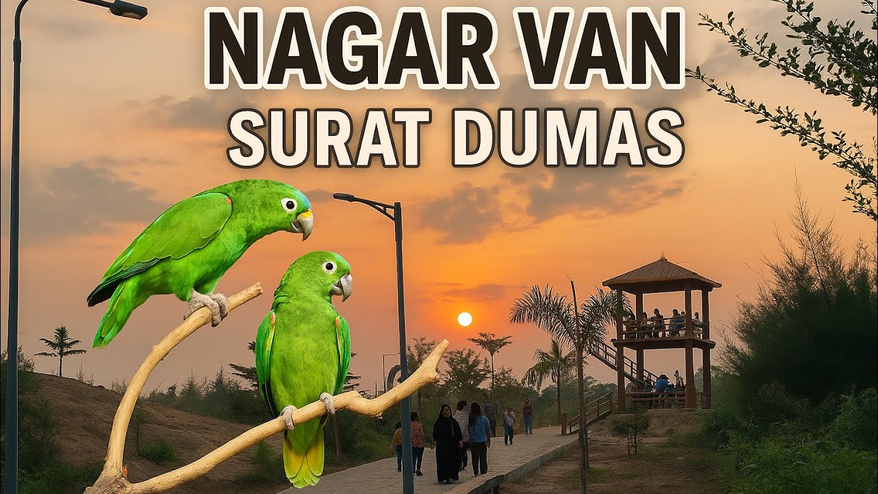 Nagar Van Surat | Dumas beach | Nature Park in Surat | NagarvanGarden Surat Dumas | Nature Bird Park