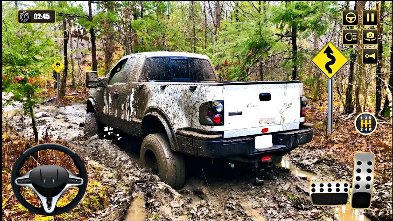 Pickup Transport Truck Driver
