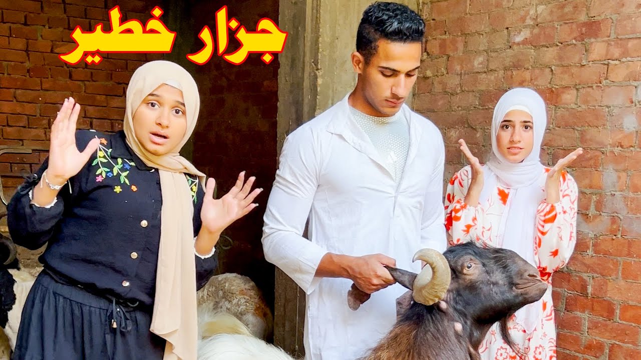 كشفت الجظار وهو بيغشش الغنم وبيزودلهم ملح علي الميه شوف السبب !!