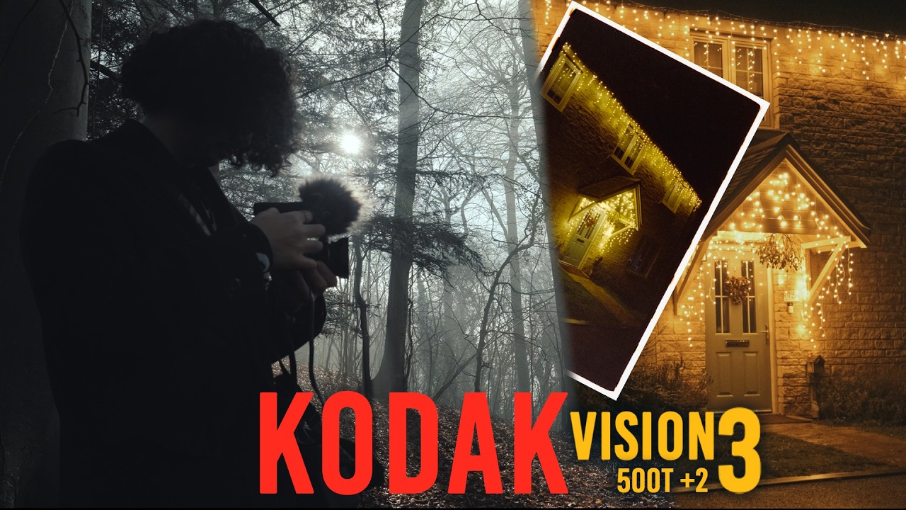 This Roll of Film Took Me a Year to Finish | Kodak Vision 3 500T