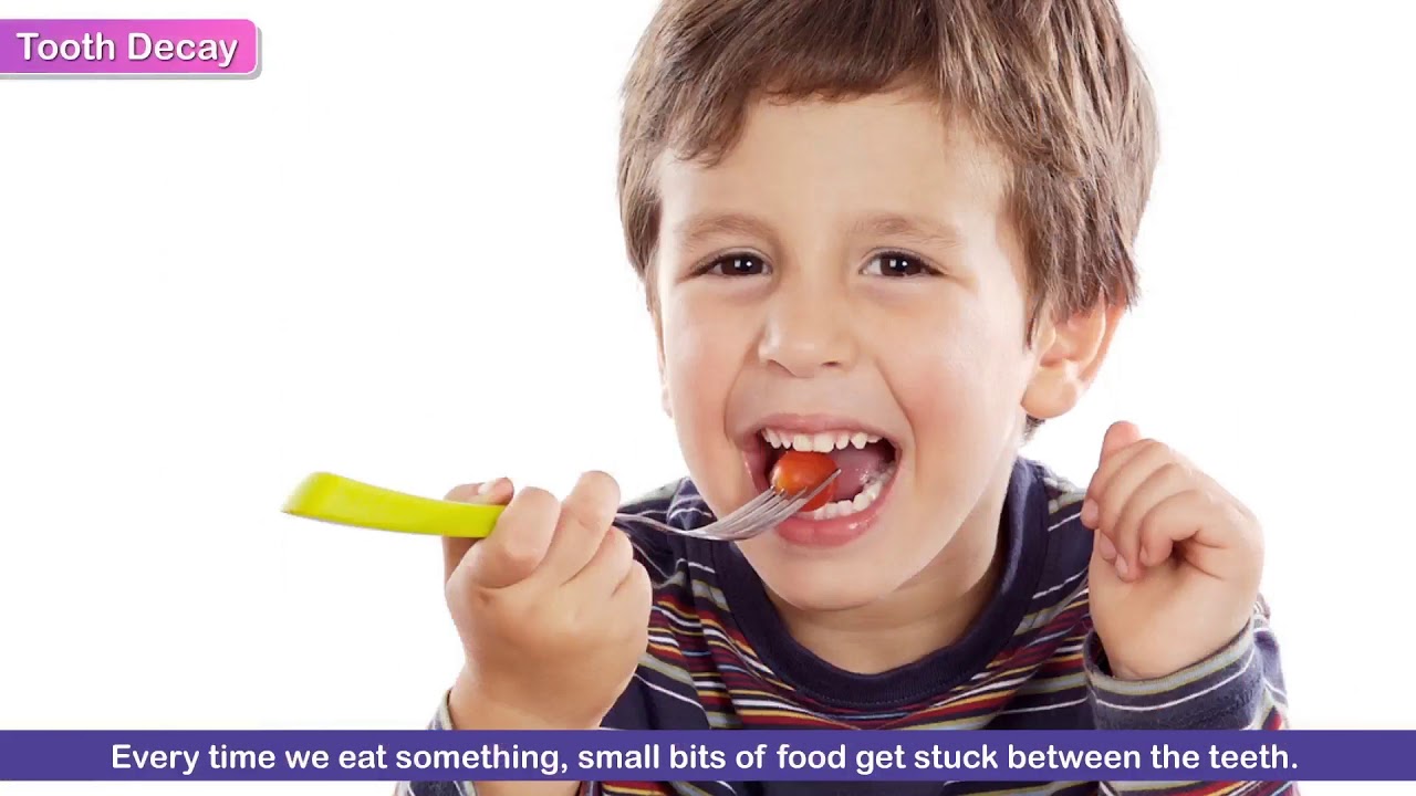 Teeth and Microbes | Science For Grade 5 Kids | Periwinkle