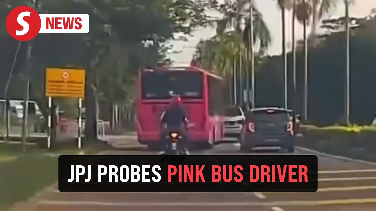 Melaka's Pink Bus viral video under JPJ probe