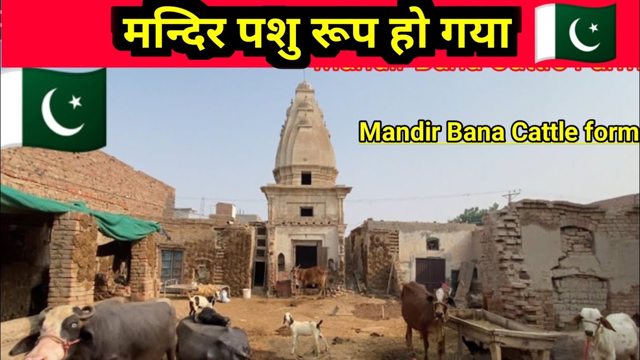 Mandir became  Cattle Farm after partition in Pakistan || Condition of oldest Mandir in Pakistan |
