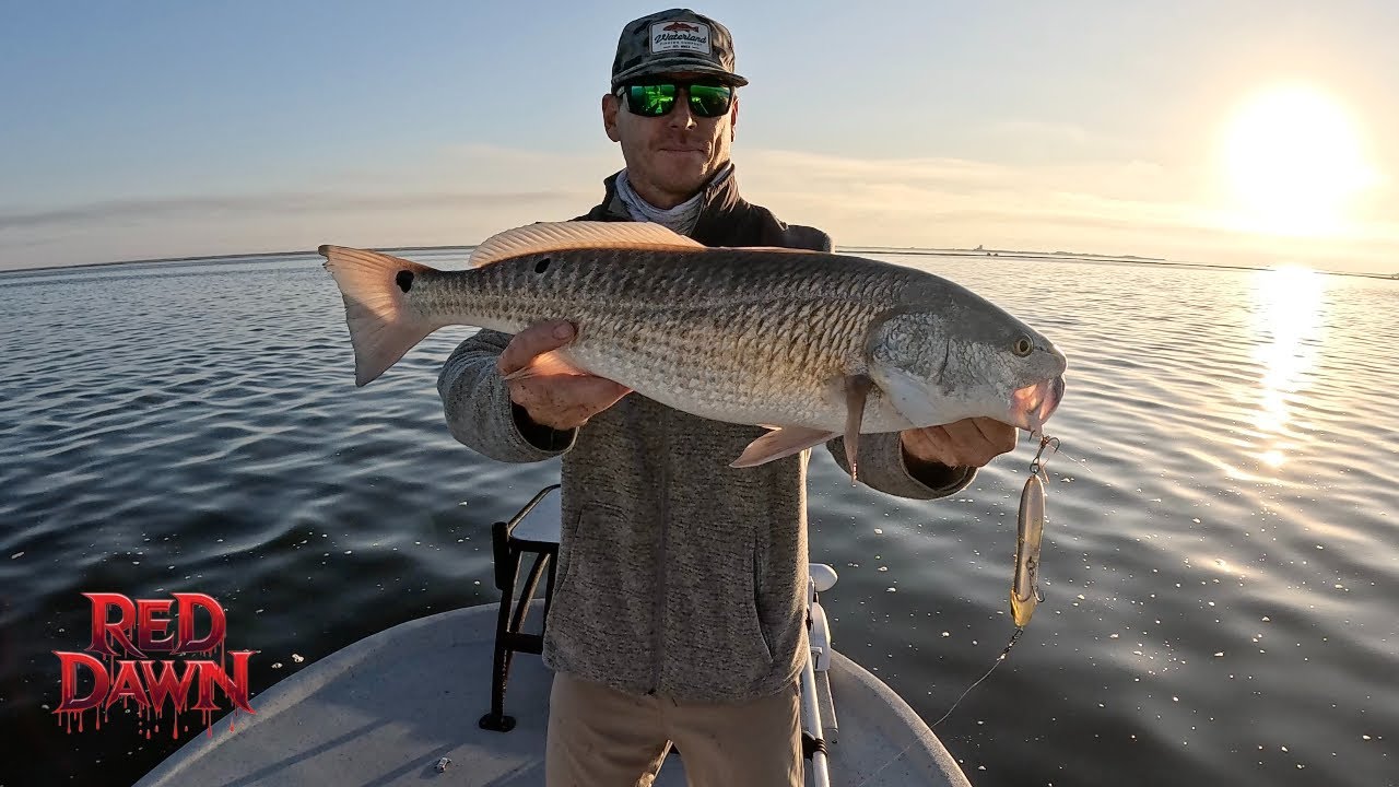 Первый прохладный фронт оказался для меня трудным уловом — ловил рыбу на рассвете и закате