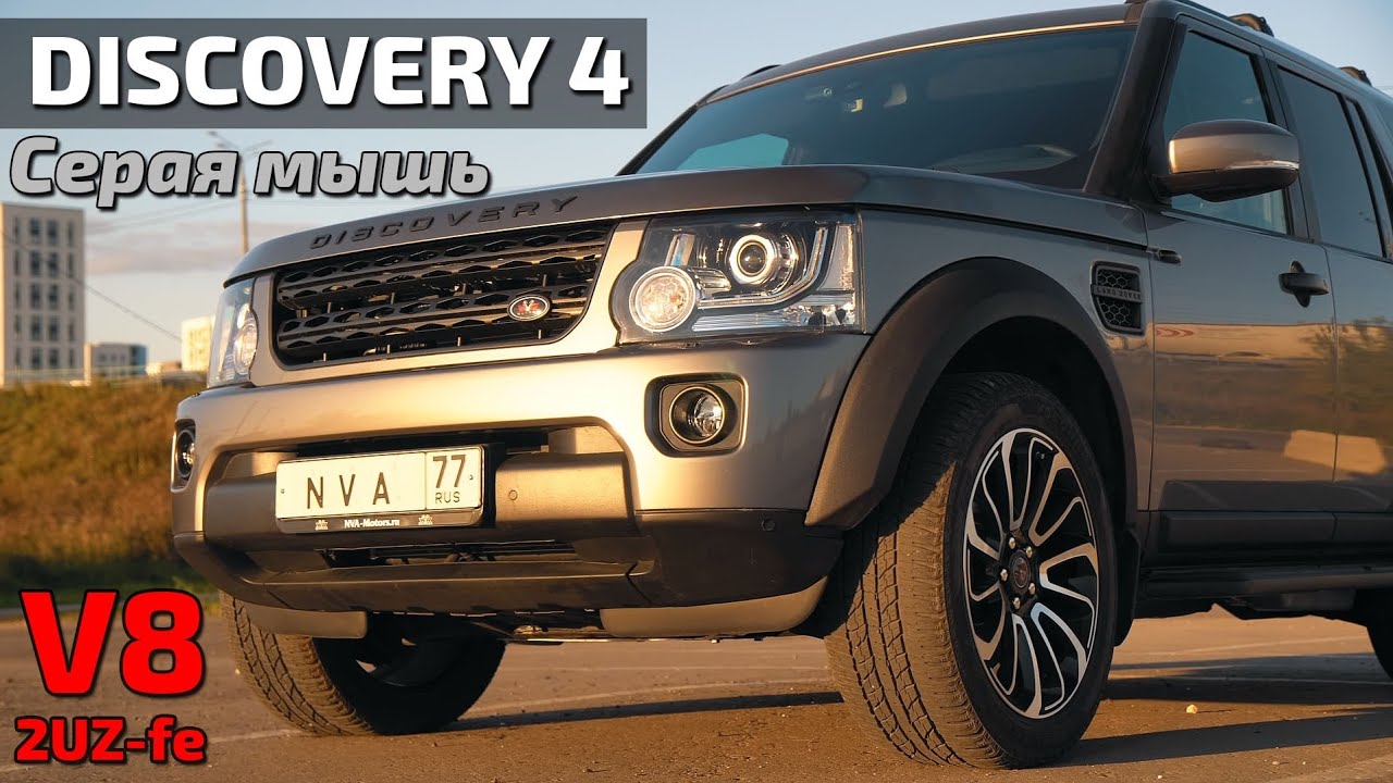 Discovery4 Серая мышь СПб