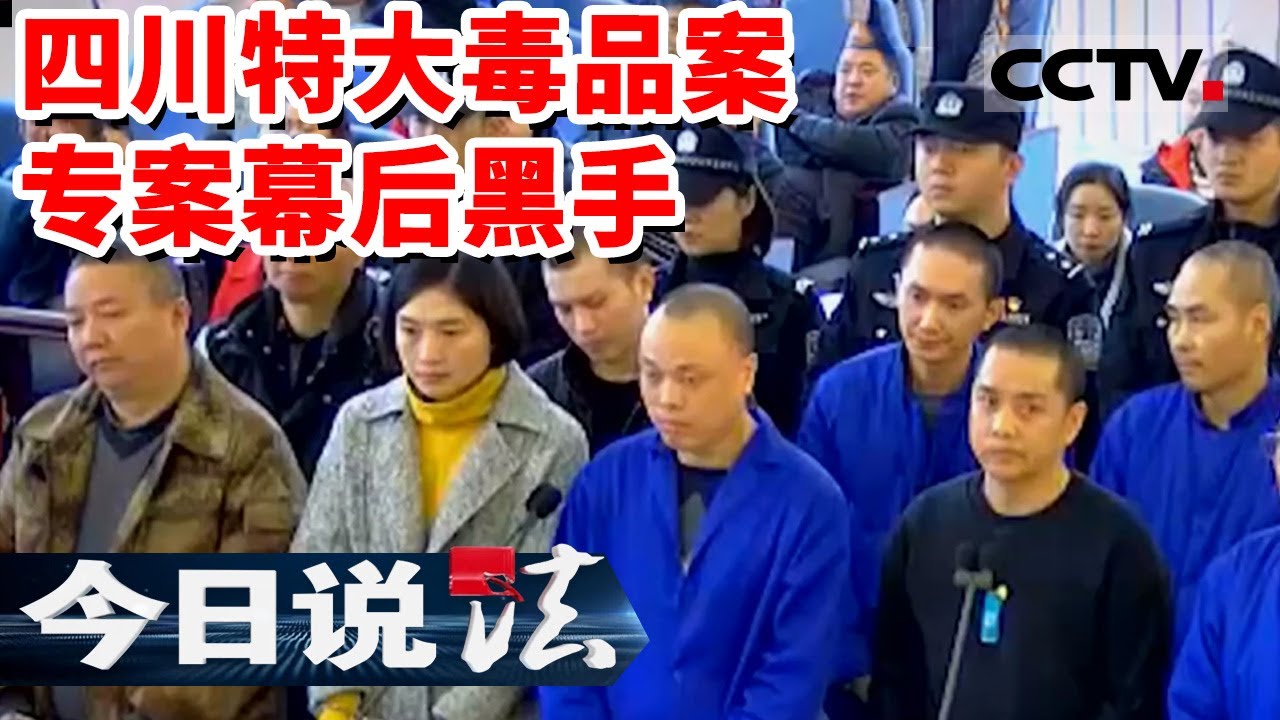 《今日说法》毒资流水上百亿 从村支书到政协委员 四川深山大型制毒现场曝光！20230819 | CCTV今日说法官方频道