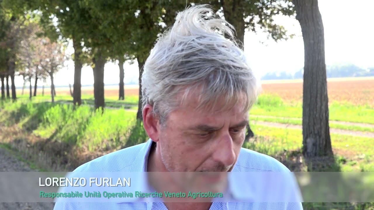 Agricoltura 4.0 - Cure per la colza